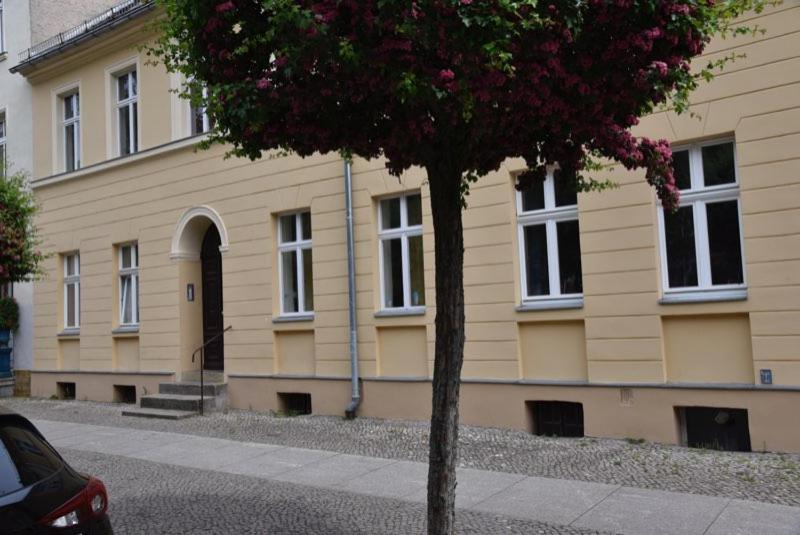 Zentrum Apartment *
